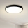 Brilagi - LED griestu lampa POOL LED/60W/230V 3000/4500/6000K Ø 60 cm melna
