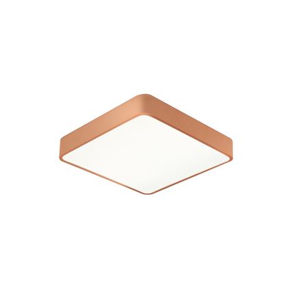 BRILAGI - LED griestu gaismeklis POOL SQUARE LED/48W/230V 3000/4000/6000K 50x50 cm bronzas krāsā