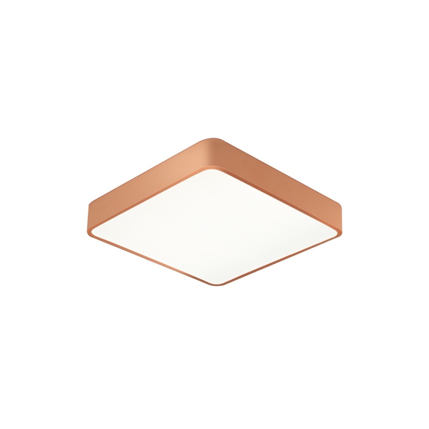 BRILAGI - LED griestu gaismeklis POOL SQUARE LED/48W/230V 3000/4000/6000K 50x50 cm bronzas krāsā
