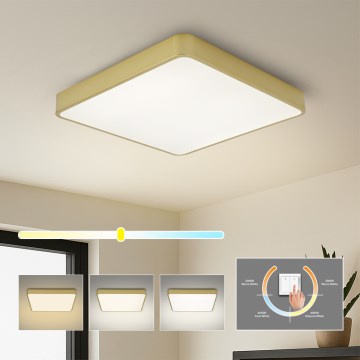 BRILAGI - LED griestu lampa POOL SQUARE LED/48W/230V 3000/4000/6000K 50x50 cm zelta