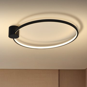 Brilagi - LED griestu lampa RINGO LED/18W/230V pr. 50 cm