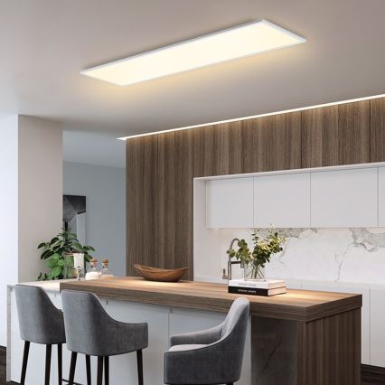 Brilagi - LED Griestu lampa SLIMFRAME LED/58W/230V 120x30 cm balta