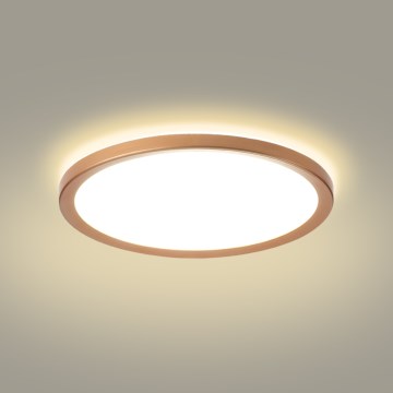 Brilagi - LED griestu lampa vannas istabai ULTRA SLIM LED/24W/230V Ø 42 cm rozā zelta IP54