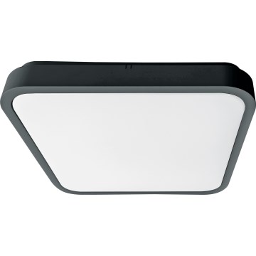 Brilagi - LED griestu lampa vannas istabai ZENNA LED/18W/230V 28,5x28,5 cm IP44 antracīta