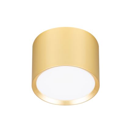 BRILAGI - LED Griestu spotgaismeklis SMOOTH 1xGX53/15W/230V 60x82 mm zelta