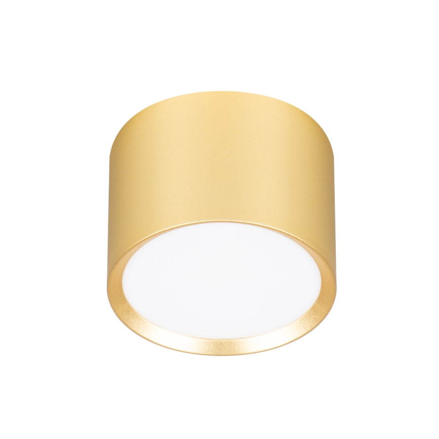 BRILAGI - LED Griestu spotgaismeklis SMOOTH 1xGX53/15W/230V 60x82 mm zelta