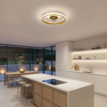 Brilagi - LED dimmējams stropas ventilators LED/66W/230V 3000–6500K Ø 55 cm balts/zelta + tālvadības pults