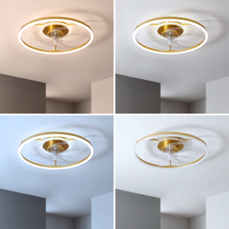 Brilagi - LED aptumšojams griestu ventilators LED/66W/230V 55 cm balts/zelts + ar tālvadības pulti
