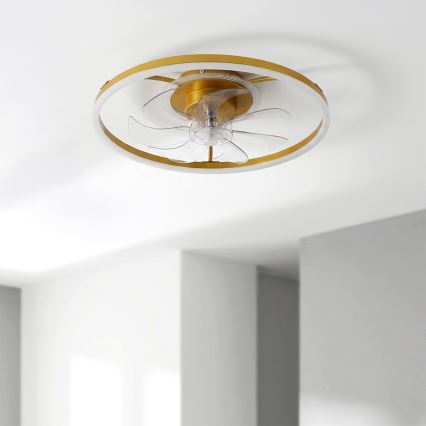 Brilagi - LED aptumšojams griestu ventilators LED/66W/230V 55 cm balts/zelts + ar tālvadības pulti