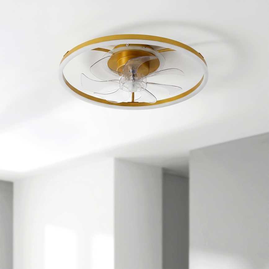 Brilagi - LED aptumšojams griestu ventilators LED/66W/230V 55 cm balts/zelts + ar tālvadības pulti