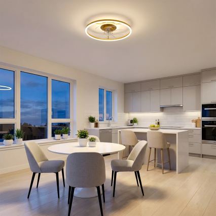 Brilagi - LED aptumšojams griestu ventilators LED/66W/230V 55 cm balts/zelts + ar tālvadības pulti