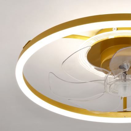 Brilagi - LED aptumšojams griestu ventilators LED/66W/230V 55 cm balts/zelts + ar tālvadības pulti