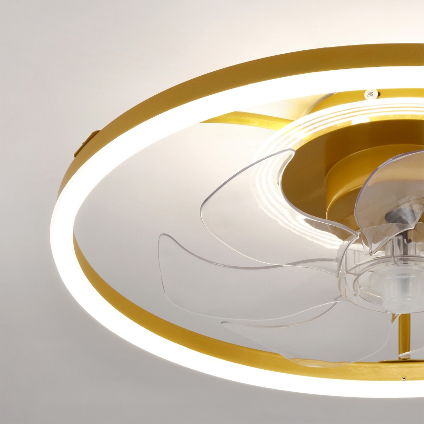 Brilagi - LED aptumšojams griestu ventilators LED/66W/230V 55 cm balts/zelts + ar tālvadības pulti