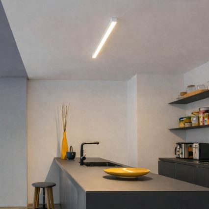 Brilagi - LED griestu virsmas gaismeklis FULLDAY LED/10/15/20W/230V 2700/4000/6000K 60 cm balts