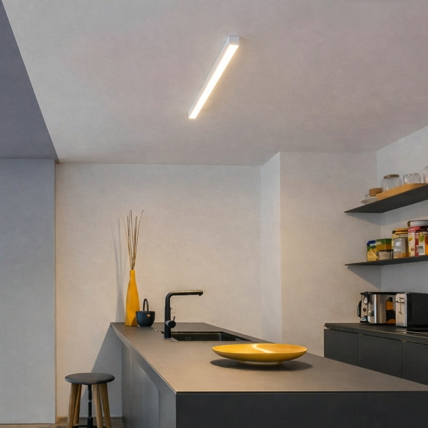 Brilagi - LED griestu virsmas gaismeklis FULLDAY LED/10/15/20W/230V 2700/4000/6000K 60 cm balts