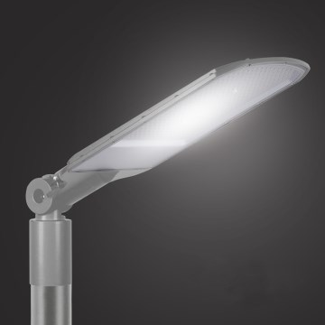 Brilagi - LED ielas lampa URBANLIGHT LED/200W/230V pelēka IP65