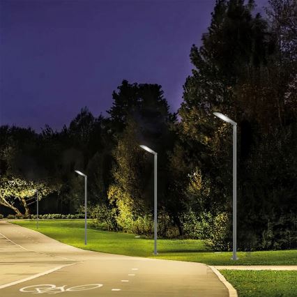 Brilagi - LED ielas lampa URBANLIGHT LED/200W/230V pelēka IP65