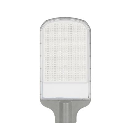 Brilagi - LED ielas lampa URBANLIGHT LED/250W/230V pelēka IP65