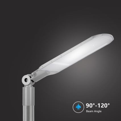 Brilagi - LED ielas lampa URBANLIGHT LED/250W/230V pelēka IP65