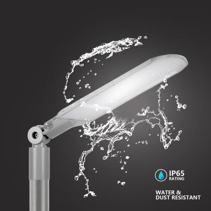 Brilagi - LED ielas lampa URBANLIGHT LED/250W/230V pelēka IP65