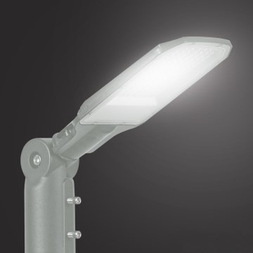 Brilagi - LED ielas lampa URBANLIGHT LED/50W/230V pelēka IP65
