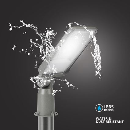 Brilagi - LED ielas lampa URBANLIGHT LED/50W/230V pelēka IP65
