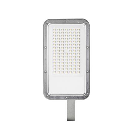 Brilagi - LED ielas lampa URBANLIGHT LED/50W/230V pelēka IP65