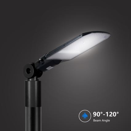 Brilagi - LED ielu lampa URBANLIGHT LED/100W/230V melna IP65