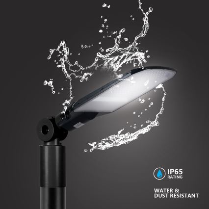 Brilagi - LED ielu lampa URBANLIGHT LED/100W/230V melna IP65