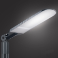 Brilagi - LED ielu lampa URBANLIGHT LED/250W/230V antracīts IP65