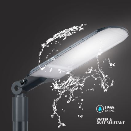 Brilagi - LED ielu lampa URBANLIGHT LED/250W/230V antracīts IP65