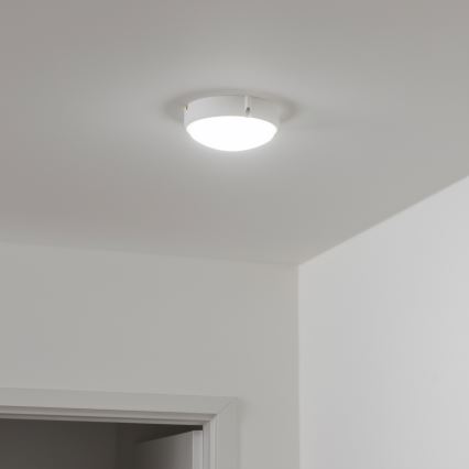 Brilagi - LED Indudtriālais griestu gaismeklis SIMA LED/12W/230V IP65 balts