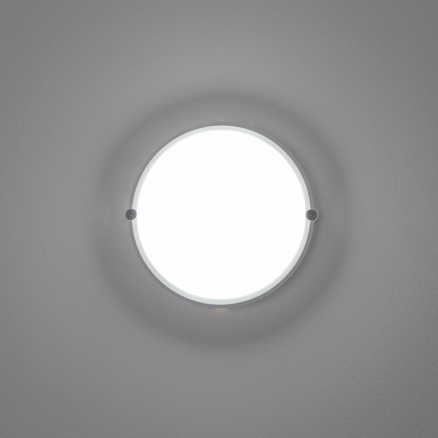Brilagi - LED Indudtriālais griestu gaismeklis SIMA LED/12W/230V IP65 balts