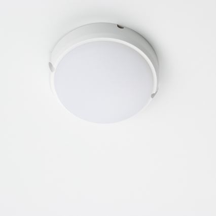 Brilagi - LED Indudtriālais griestu gaismeklis SIMA LED/12W/230V IP65 balts