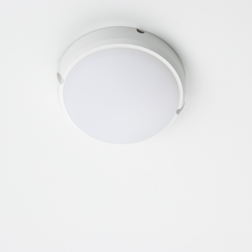 Brilagi - LED Indudtriālais griestu gaismeklis SIMA LED/12W/230V IP65 balts