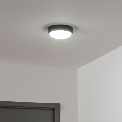 Brilagi - LED Indudtriālais griestu gaismeklis SIMA LED/12W/230V IP65 melns