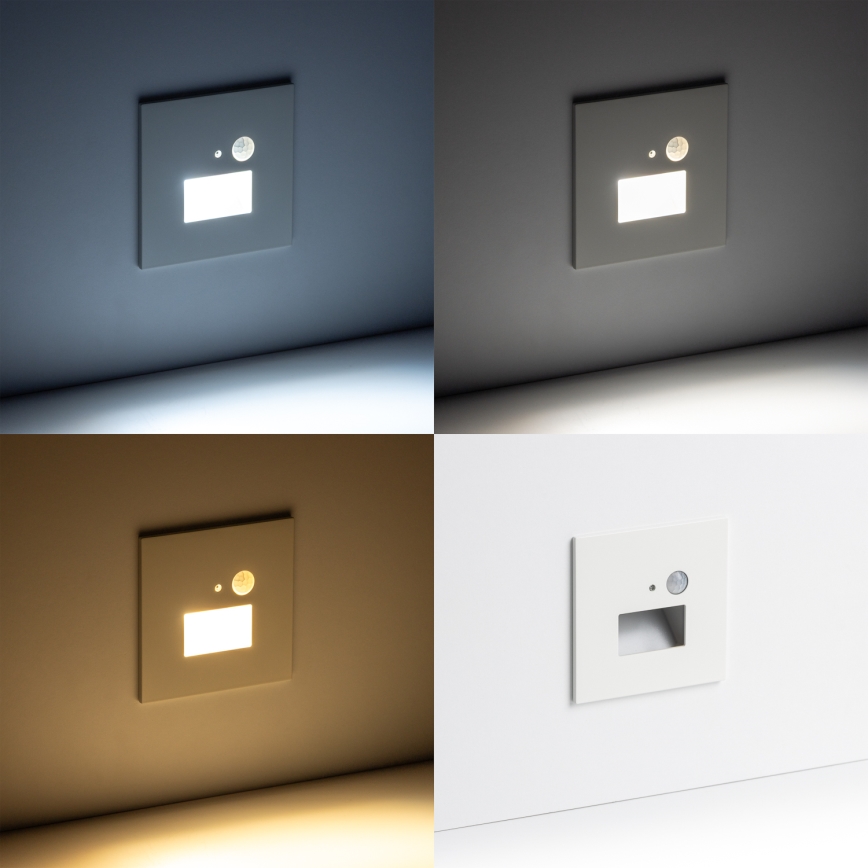 Brilagi - LED kāpņu gaismeklis ar kustības un krēslas sensoru JACK LED/1,5W/230V 3000/4000/6500K balts