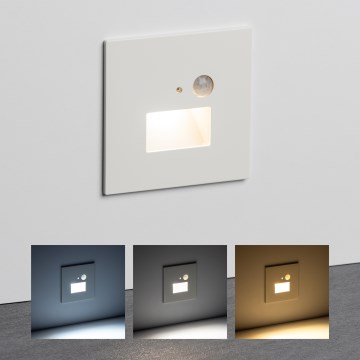 Brilagi - LED Kāpņu telpas lampa ar kustību sensoru JACK LED/1,5W/230V 3000K/4000K/6500K balta
