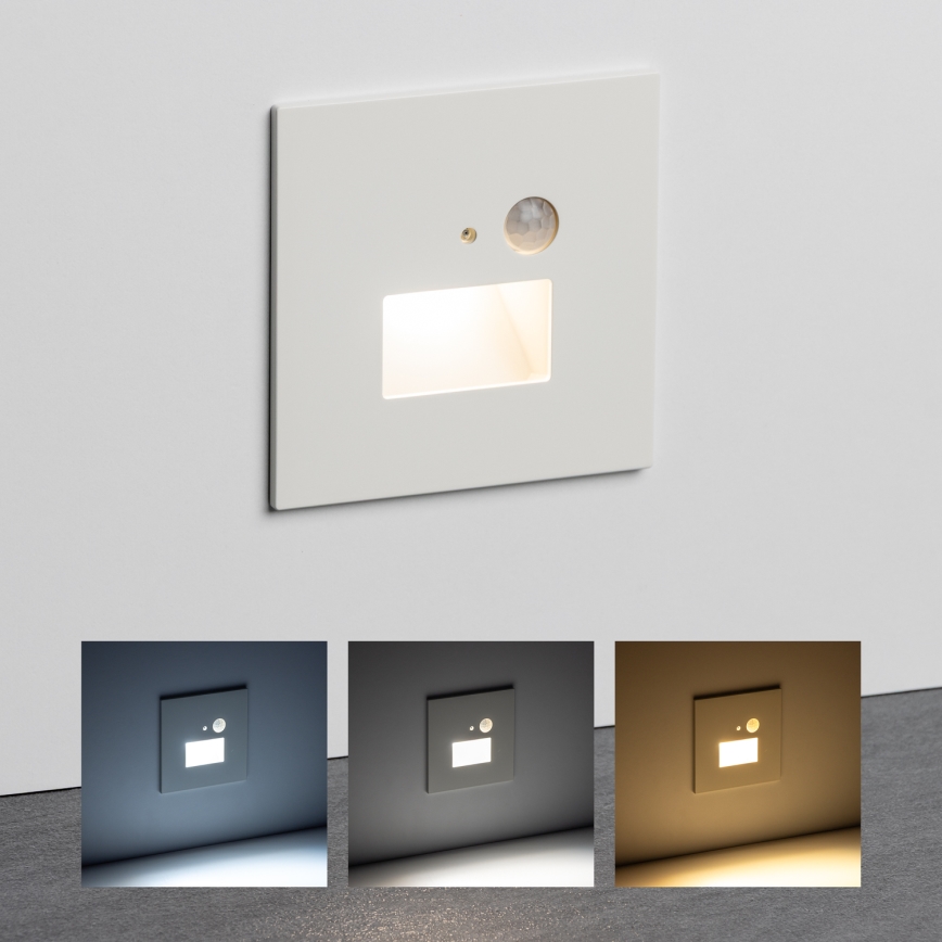 Brilagi - LED Kāpņu telpas lampa ar kustību sensoru JACK LED/1,5W/230V 3000K/4000K/6500K balta