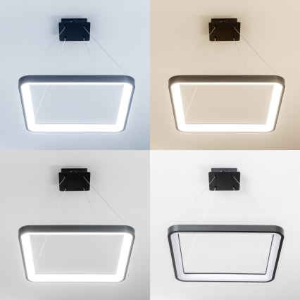 Brilagi - LED regulējams pakaramais gaismeklis ar vadu FALCON SLIM LED/50W/230V 3000-6500K 50x50 cm melns + tālvadības pults