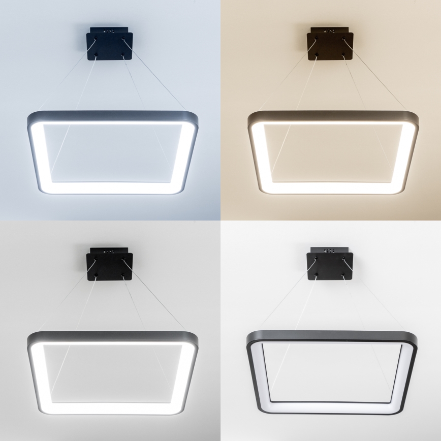 Brilagi - LED regulējams pakaramais gaismeklis ar vadu FALCON SLIM LED/50W/230V 3000-6500K 50x50 cm melns + tālvadības pults