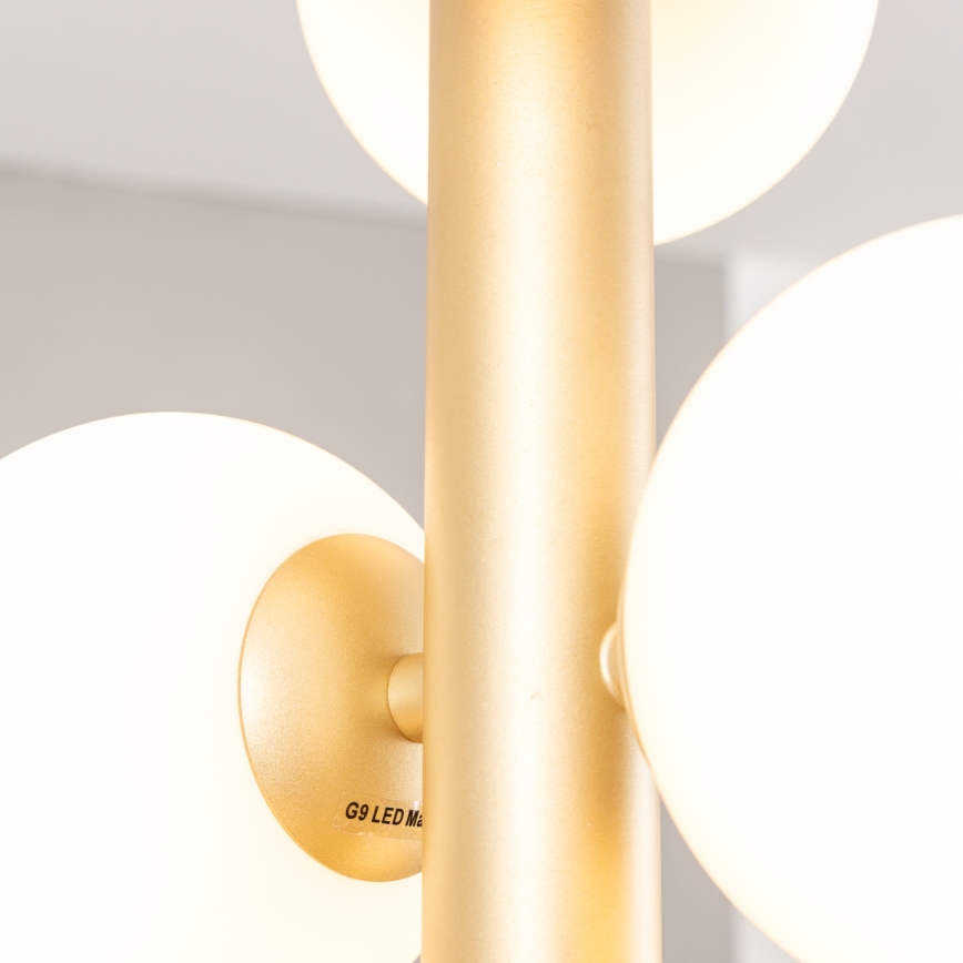 Brilagi - LED Lustra ar auklu MILLA 6xG9/3W/230V zelta/balta