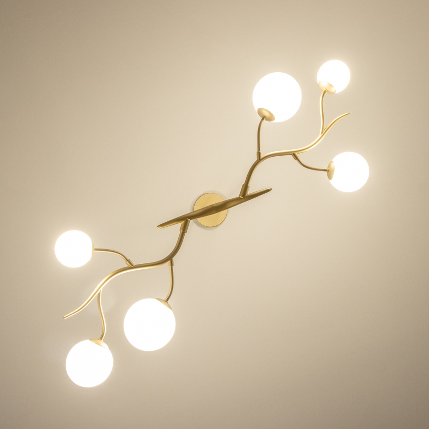 Brilagi - LED Lustra ar auklu MISTEL 6xG9/3W/230V zelta/balta