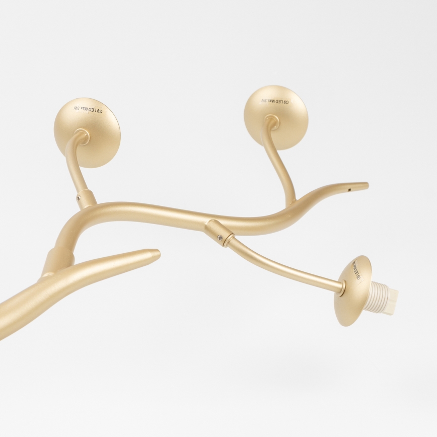 Brilagi - LED Lustra ar auklu MISTEL 6xG9/3W/230V zelta