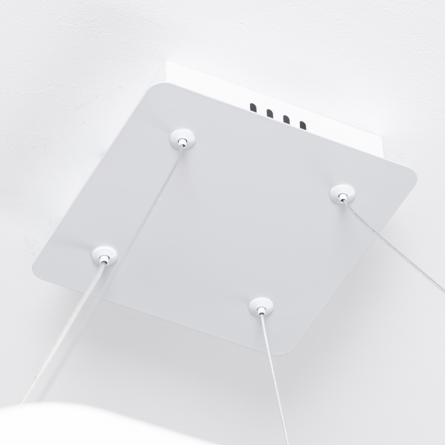 Brilagi - LED dimējama piekaramā lampa uz troses FALCON SLIM LED/50W/230V 3000-6500K 50x50 cm balta + tālvadības pults