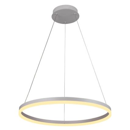 Brilagi - LED dimējama pakaramā lustra uz troses CIRCLE LED/42W/230V 3000-6500K Ø 60 cm + tālvadība