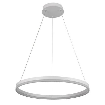 Brilagi - LED dimējama pakaramā lustra uz troses CIRCLE LED/42W/230V 3000-6500K Ø 60 cm + tālvadība