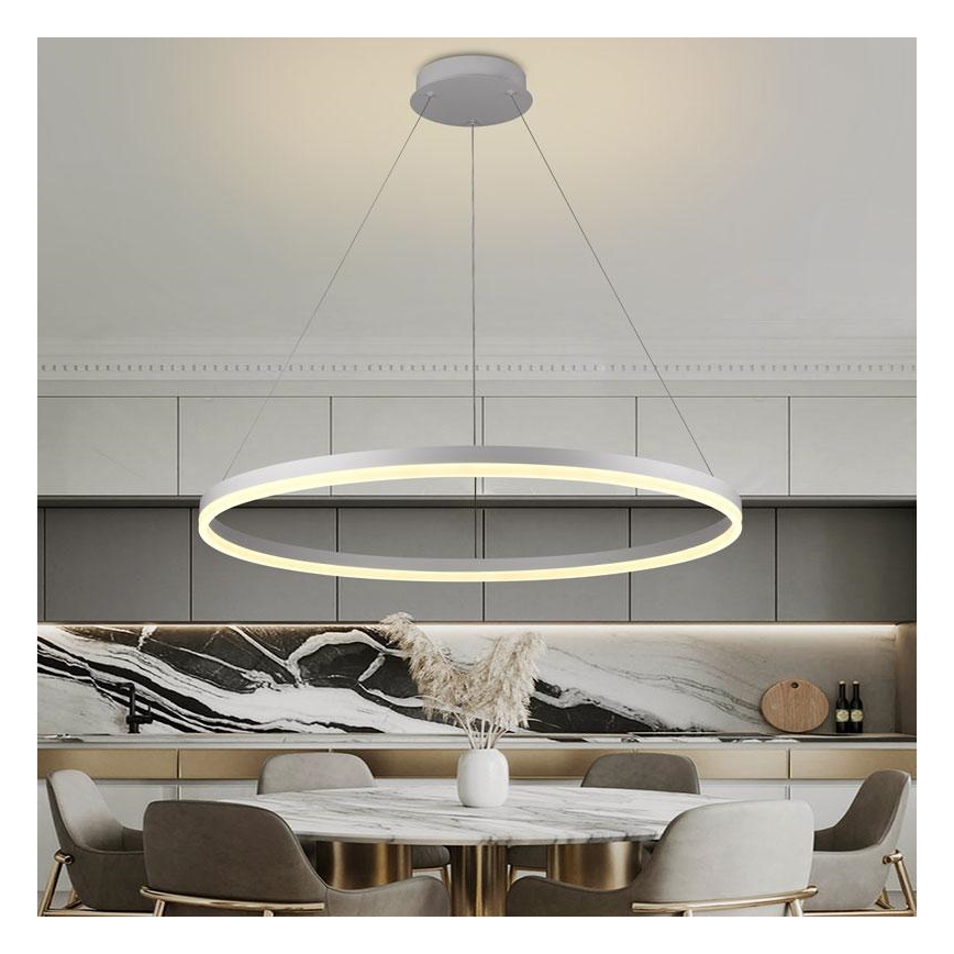 Brilagi - LED lustra ar regulējamu spilgtumu uz troses CIRCLE LED/55W/230V 3000-6500K Ø 80 cm balta + ar tālvadības pulti