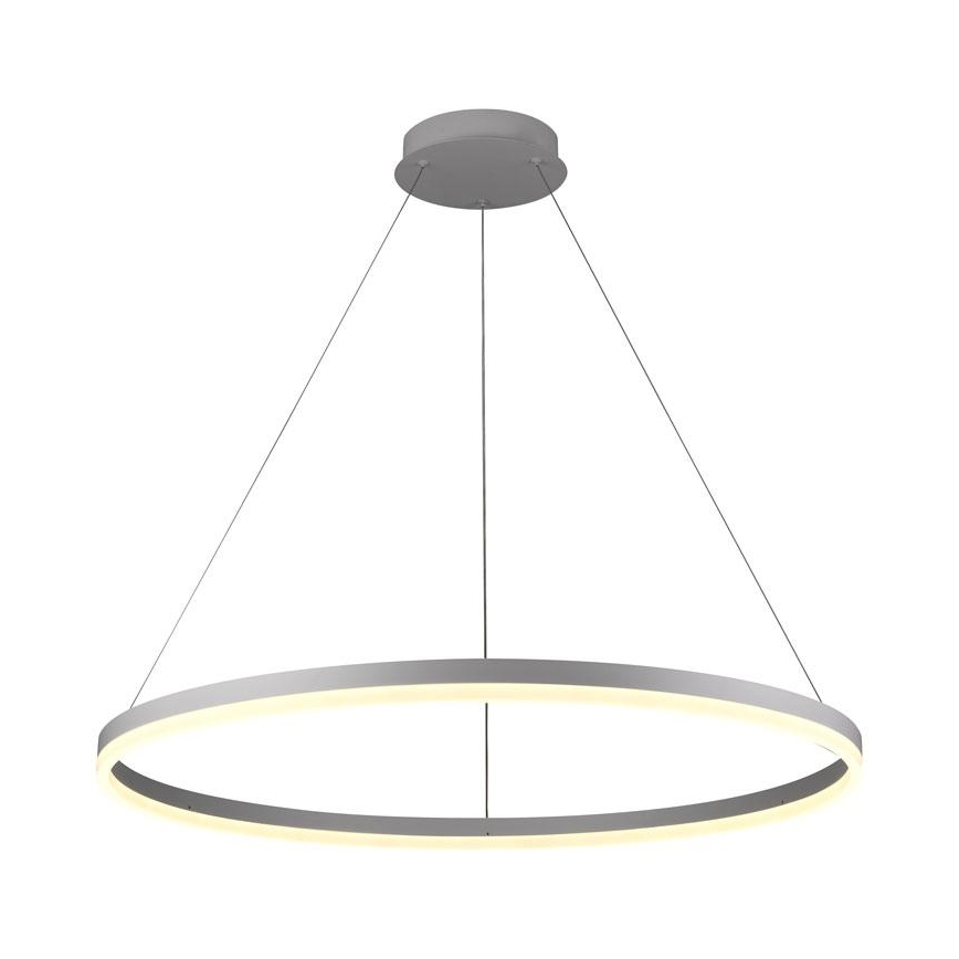 Brilagi - LED lustra ar regulējamu spilgtumu uz troses CIRCLE LED/55W/230V 3000-6500K Ø 80 cm balta + ar tālvadības pulti