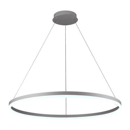 Brilagi - LED lustra ar regulējamu spilgtumu uz troses CIRCLE LED/55W/230V 3000-6500K Ø 80 cm balta + ar tālvadības pulti